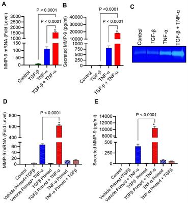 TGF-β and TNF-α interaction promotes the expression of MMP-9 through H3K36 dimethylation: implications in breast cancer metastasis